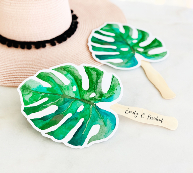 Palm Leaf Fans