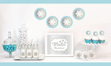 Silver & Glitter Winter Wonderland Decor Kit